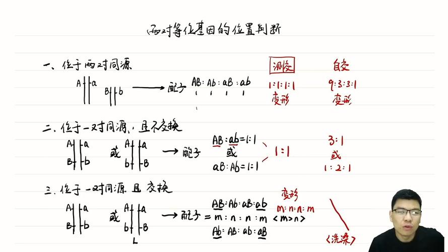 等位基因数据库具体指的是什么？
