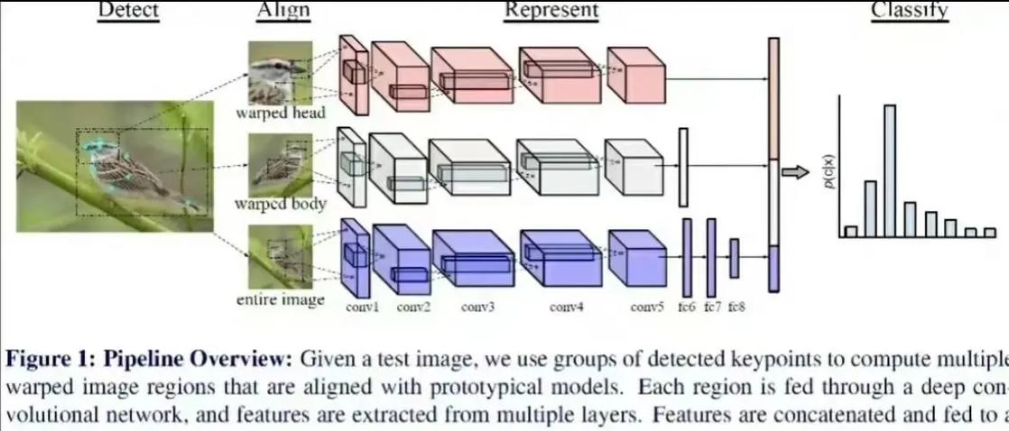 如何用Python实现长尾词识别的计算机视觉目标检测技术？