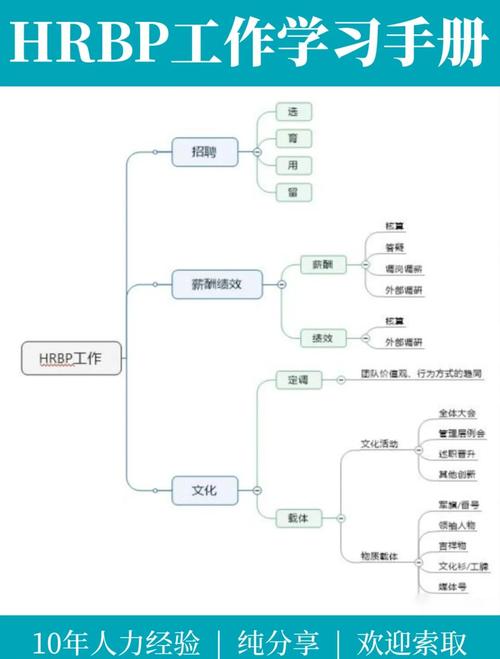 政府网站建设中，专业公司扮演什么角色？贡献了哪些关键要素？