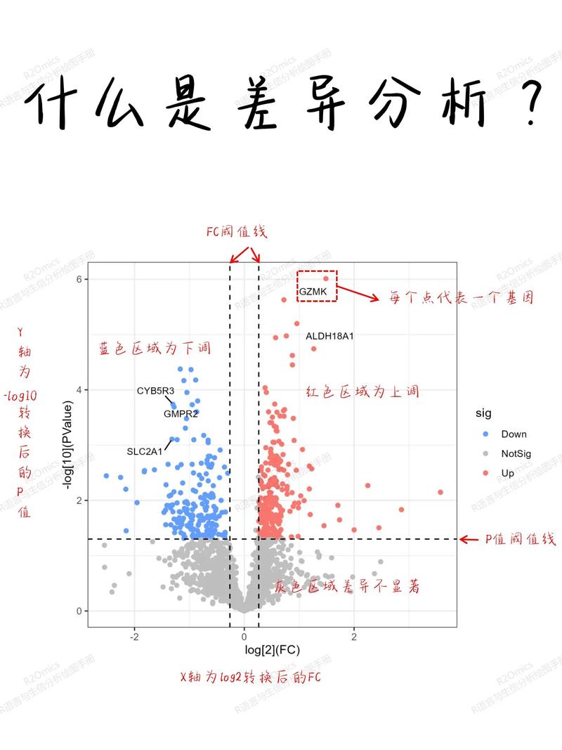 IEnumerable与模型Razor View之间有何显著差异？