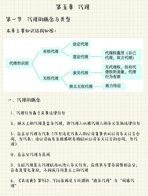 区域代理和项目代理在本质区别上，哪个更专注于特定区域或项目？