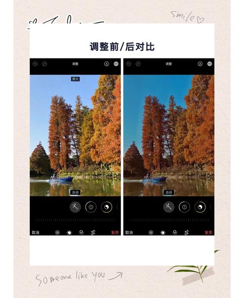 如何用Python实现图片滤镜效果的高级技巧？