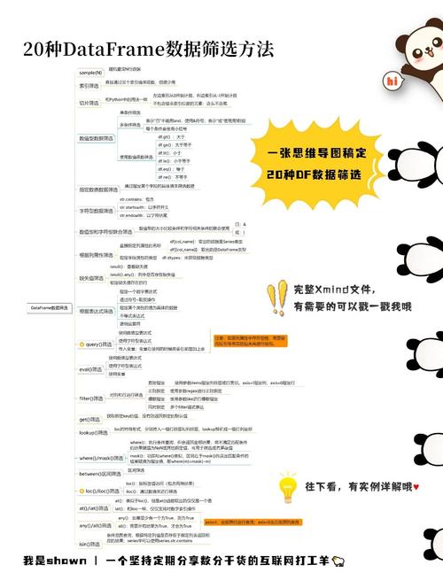 如何使用Pandas DataFrame的apply方法进行数据高级处理？