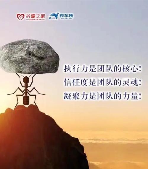 珠海专业网站建设团队，引领互联网新纪元的核心力量，是哪支团队？