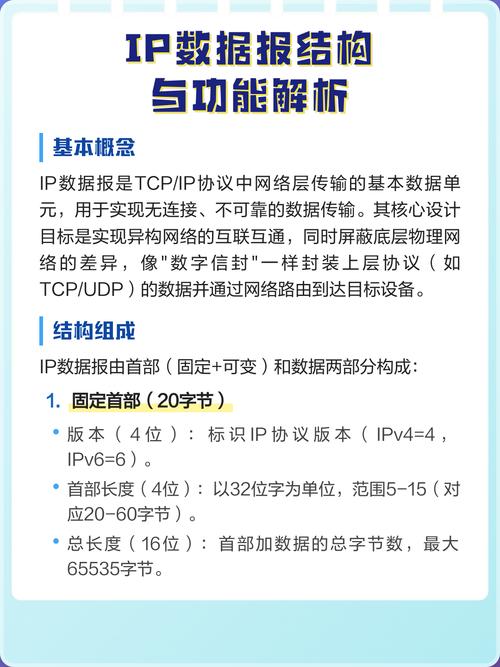 IP数据报结构是怎样的？