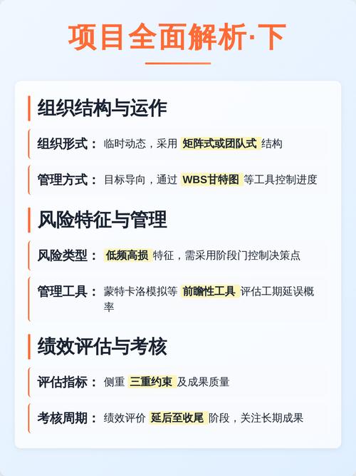 如何区分项目与运营业务的本质差异？