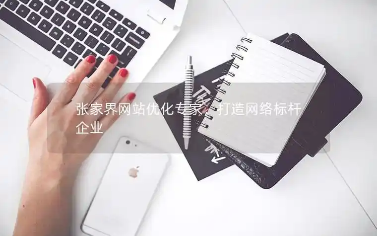 张家界SEO优化，专业页面服务哪家强？