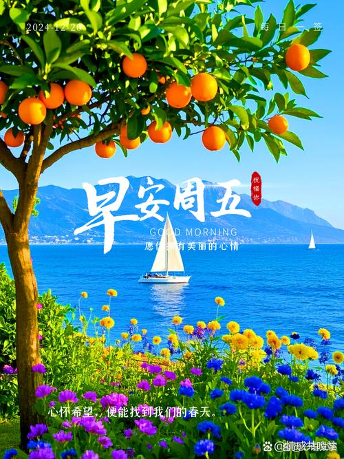谁在探寻网络推广的领航者——卓立海创？