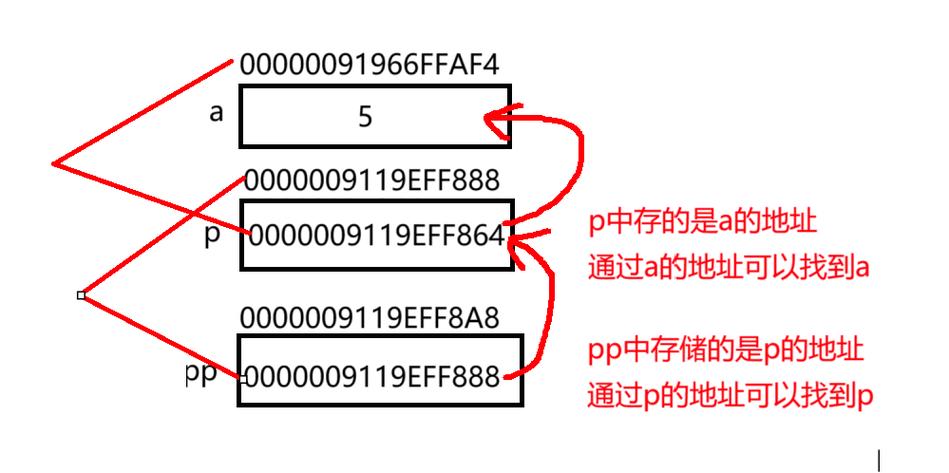 C语言中如何使用指向二维数组的指针进行操作？