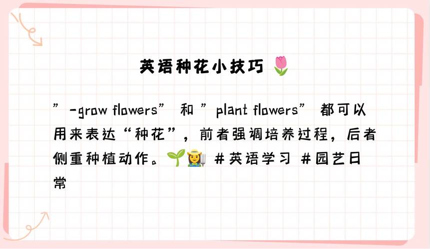 长尾词能否在605. Can Place Flowers问题中种花？