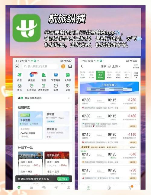 如何开发一个高效的航空订票应用程序？
