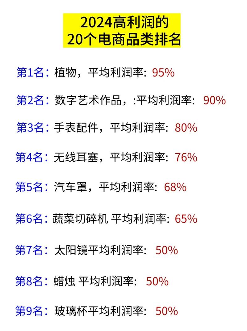 独立站定制产品，哪些品类投入能实现高利润转化？