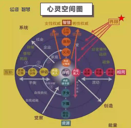 探秘心究竟隐藏着怎样的奥秘？