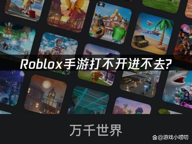 Roblox游戏无法运行时，有哪些具体方法可以彻底修复？
