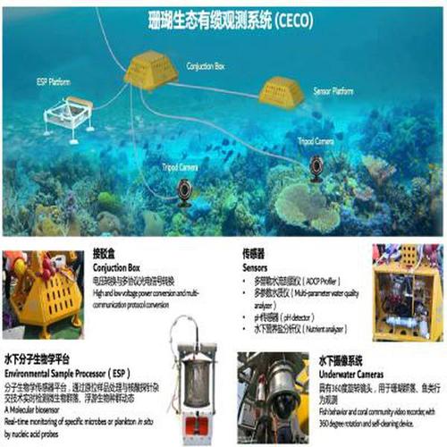 如何运用尖端技术高效监测海底，构建在线海底帝国？
