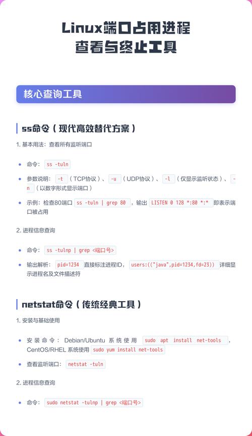如何详细查询Linux系统下特定端口的占用状态及运行进程？