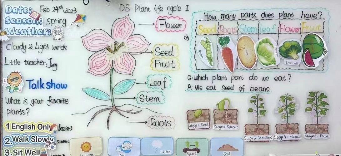 Pod的生命周期如何通过长尾词表达？