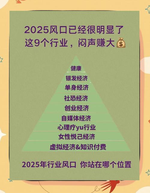 独立站行业现状与未来究竟是不是长期发展的风口赛道？