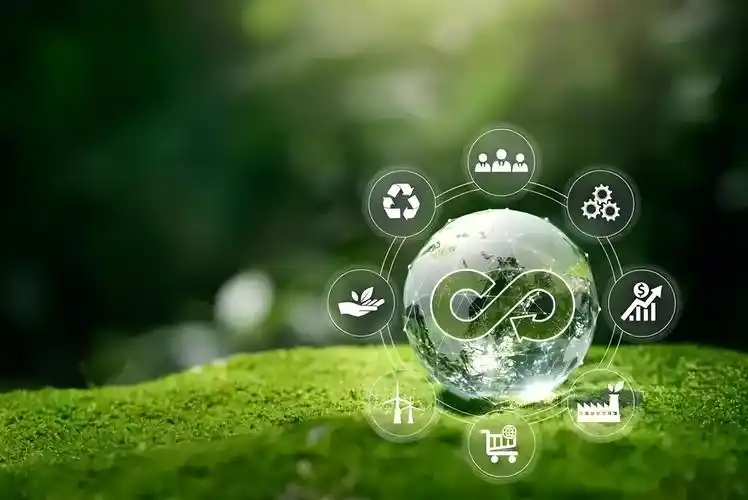 如何通过优化环保科技公司网站，让绿色科技在市场中焕发更强劲的生命力？