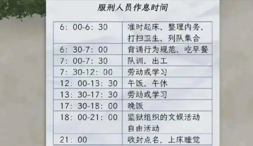 坐牢的程序员会被分配到监狱内部编写代码的任务吗？