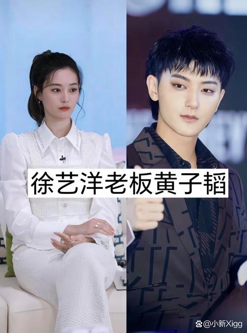 百度风云榜总榜明星揭秘，风云榜背后的秘密究竟是什么？