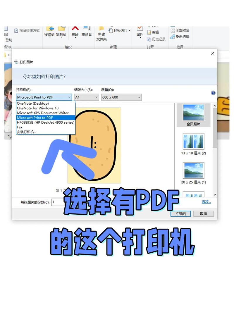 如何快速将PDF文件转换成图片格式？