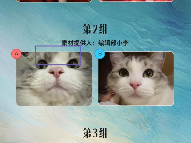 AI创作独特印记是如何被辨识出来的？