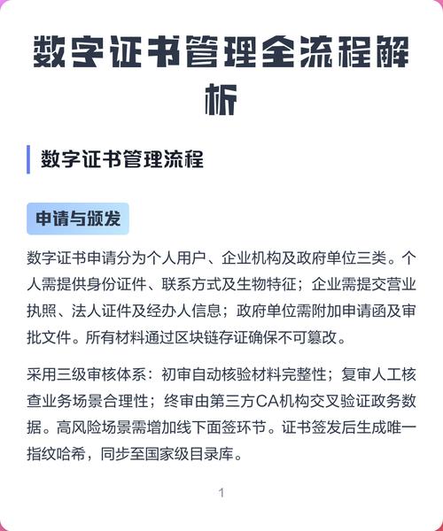 如何详细解析数字证书申请流程的每一步骤？