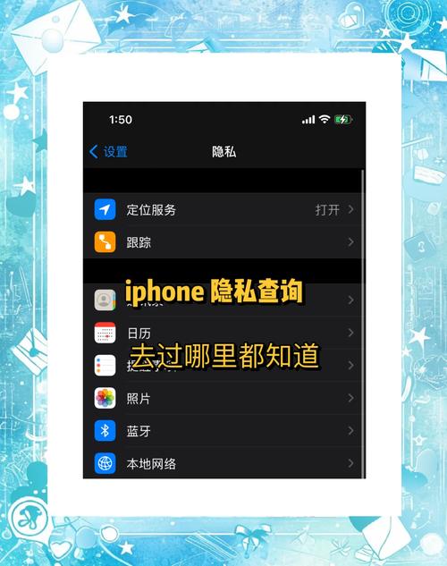 使用域名历史查询工具，我能查询到哪些具体的历史信息？