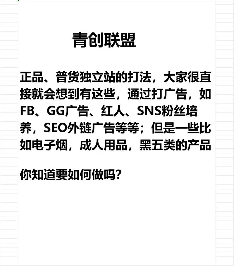 如何从零开始，避开陷阱，成功在独立站销售黑五类产品？