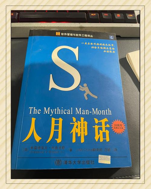 《人月神话》20周年纪念版中，早期评论对焦油|银弹概念有何看法？