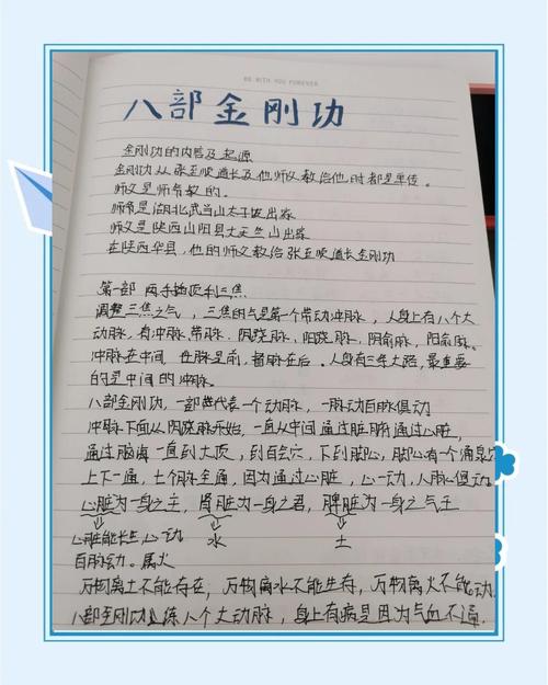 张至顺道长自述中提到的养生秘诀是什么？