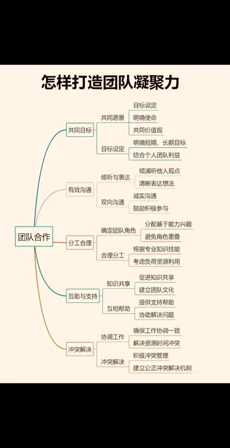 如何通过四步策略有效提升团队凝聚力，加强团队建设？