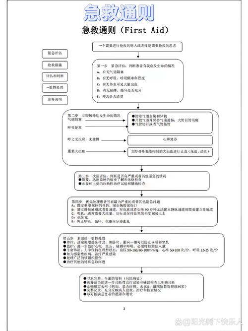 独立急救站审批流程中，设置者是谁？具体流程是怎样的？有哪些核心要点需要注意？