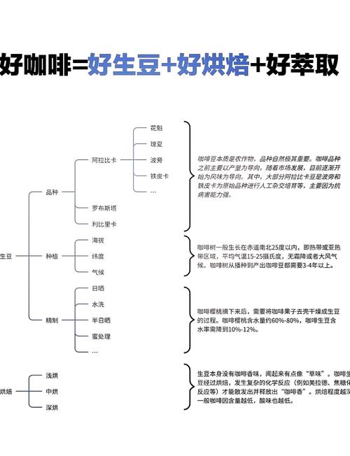☕ 如何高效学习JS入门笔记？