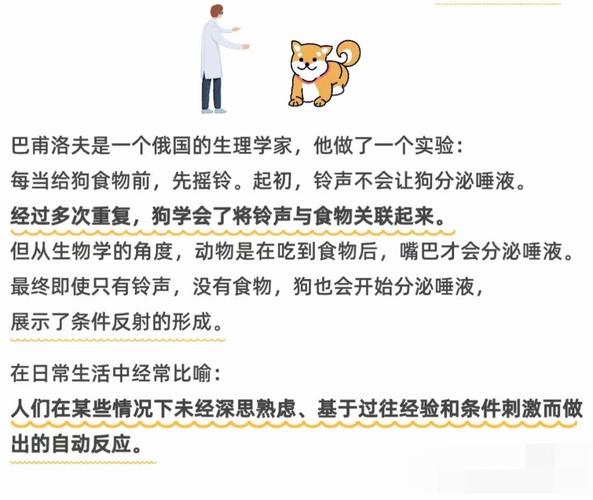 PHP如何使用反射机制实例化一个对象？