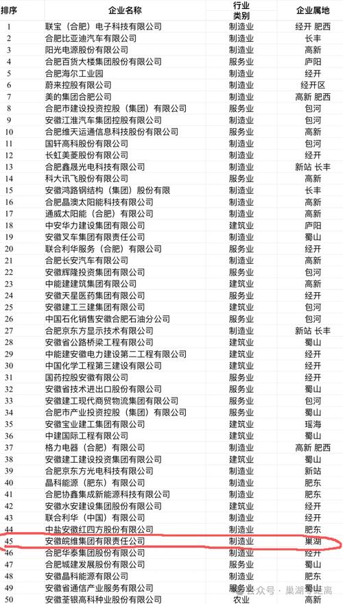 合肥哪家高端网站建设公司排名领先，堪称行业领军品牌？