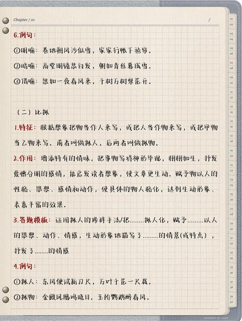 如何借鉴SEO专员笔试试题中的热门技巧，提升解题能力？