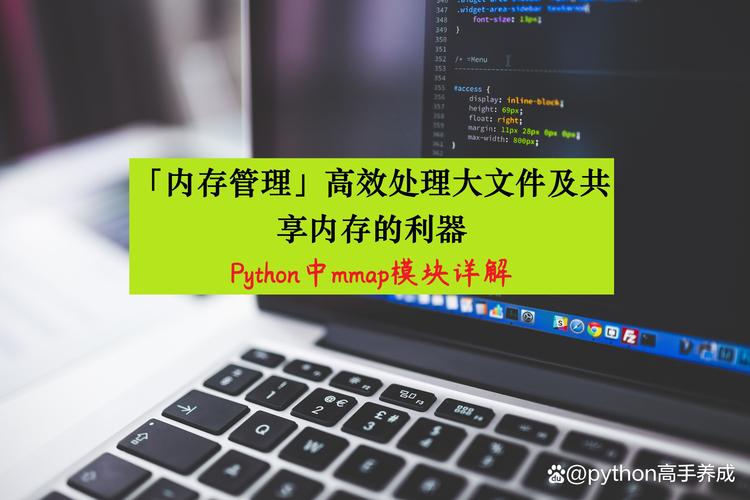 Python mmap模块如何高效处理大文本内存映射？