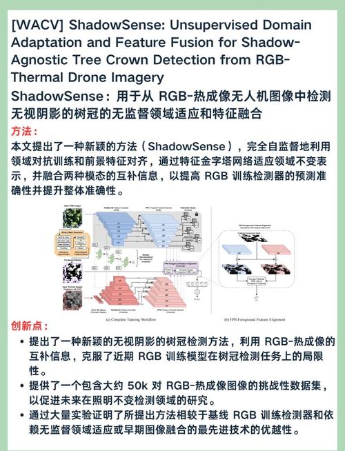 如何把握架构设计的易变性，以适应不断变化的需求？