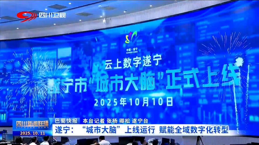 遂宁有哪些网站建设专业公司，能引领数字时代的卓越网络体验？