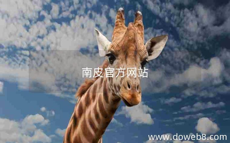 南皮SEO优化价格透明，哪家服务更实惠呢？