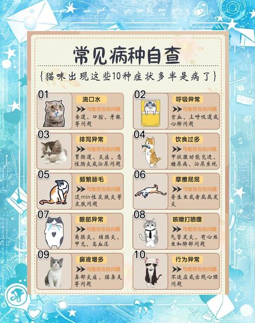 我的卢阿宠物有什么潜在健康问题需要注意？