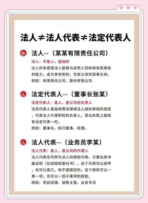 项目法人与业主在本质区别上有哪些根本的不同之处？