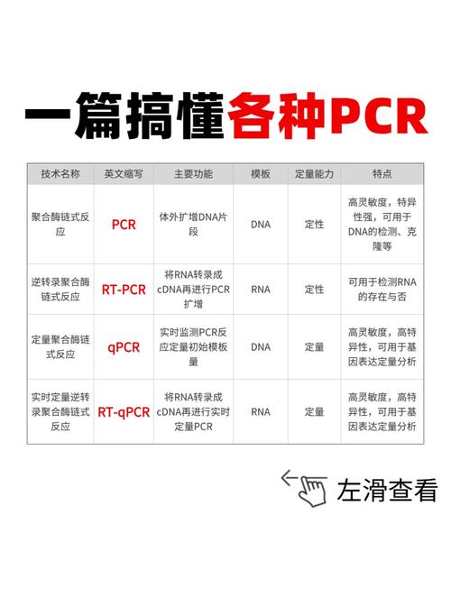 项目中mic与pic的根本差异是什么？