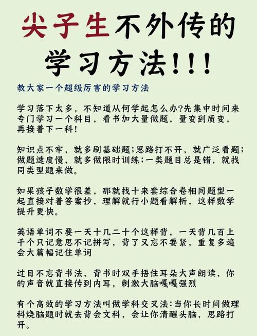 省HVV初体验（edu）如何提升学习效果？