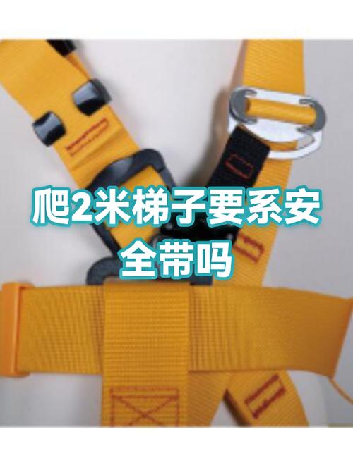 独立站与梯子有何不同？如何避费省XX元，辨风险与价值？