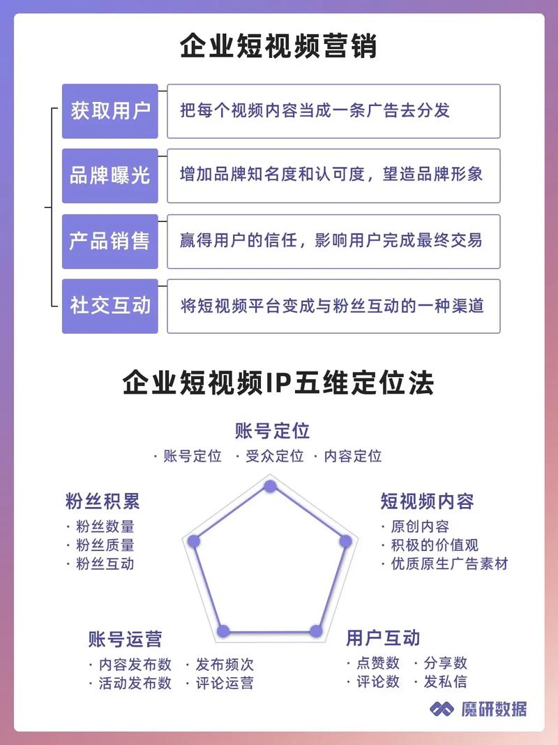 如何通过短视频策略有效提升品牌影响力并增加销售额？