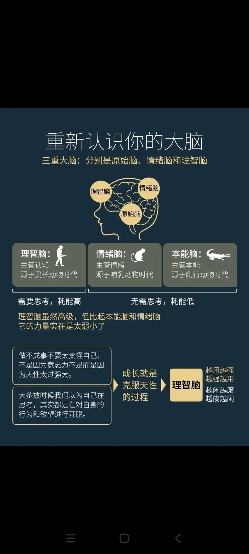 程序员们，是时候觉醒了，提升认知比埋头写代码更有价值吗？