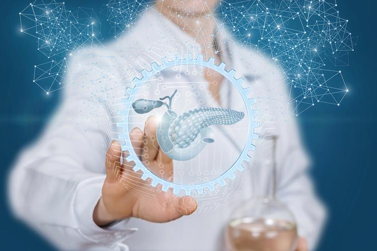 百度关键词排名的奥秘究竟是什么？行情变化背后有何秘密？